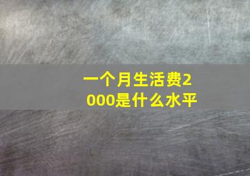 一个月生活费2000是什么水平