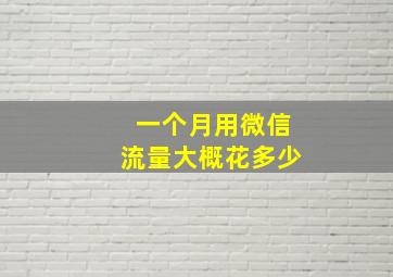 一个月用微信流量大概花多少