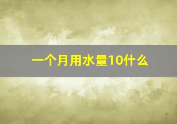 一个月用水量10什么