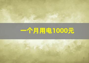 一个月用电1000元