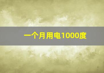 一个月用电1000度