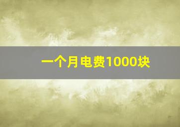 一个月电费1000块