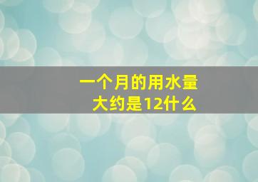 一个月的用水量大约是12什么