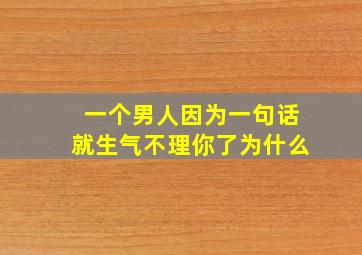 一个男人因为一句话就生气不理你了为什么