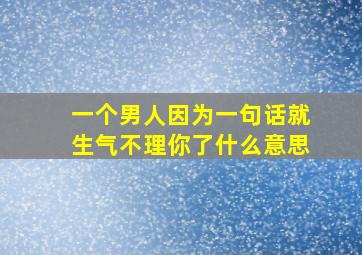 一个男人因为一句话就生气不理你了什么意思