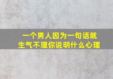 一个男人因为一句话就生气不理你说明什么心理