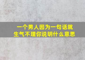 一个男人因为一句话就生气不理你说明什么意思