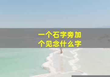 一个石字旁加个见念什么字