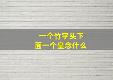 一个竹字头下面一个皇念什么