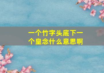 一个竹字头底下一个皇念什么意思啊