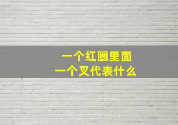 一个红圈里面一个叉代表什么