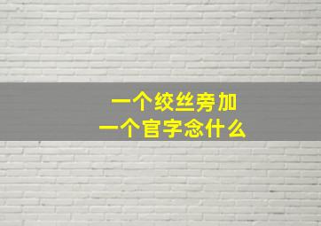 一个绞丝旁加一个官字念什么