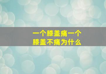 一个膝盖痛一个膝盖不痛为什么