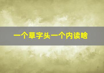 一个草字头一个内读啥