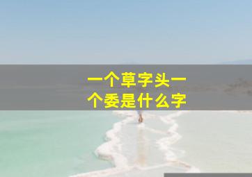 一个草字头一个委是什么字