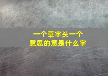 一个草字头一个意思的意是什么字