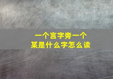 一个言字旁一个某是什么字怎么读