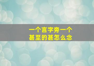 一个言字旁一个甚至的甚怎么念