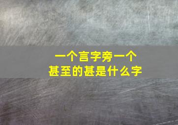 一个言字旁一个甚至的甚是什么字