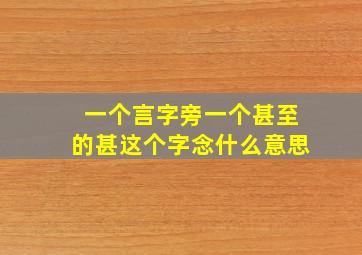 一个言字旁一个甚至的甚这个字念什么意思