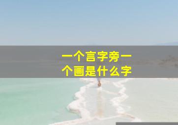 一个言字旁一个画是什么字