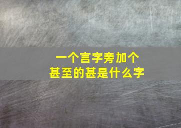 一个言字旁加个甚至的甚是什么字