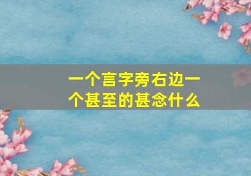 一个言字旁右边一个甚至的甚念什么