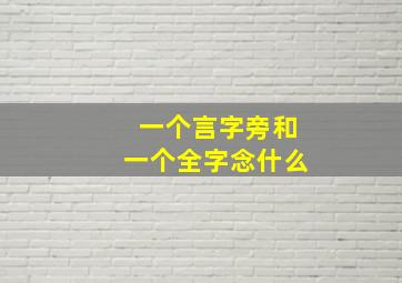 一个言字旁和一个全字念什么