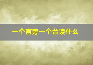 一个言旁一个台读什么