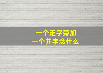 一个走字旁加一个并字念什么