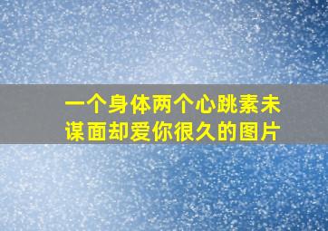 一个身体两个心跳素未谋面却爱你很久的图片