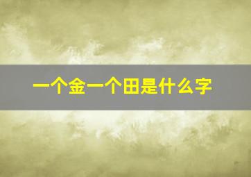 一个金一个田是什么字