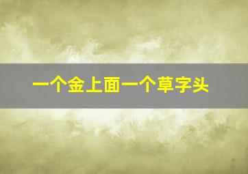 一个金上面一个草字头