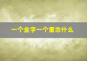 一个金字一个重念什么