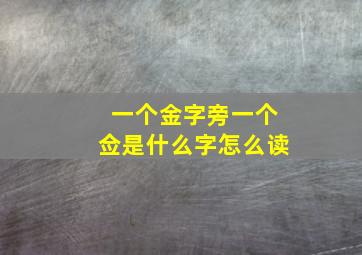 一个金字旁一个佥是什么字怎么读