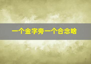 一个金字旁一个合念啥