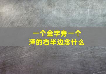 一个金字旁一个泽的右半边念什么