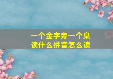 一个金字旁一个臬读什么拼音怎么读