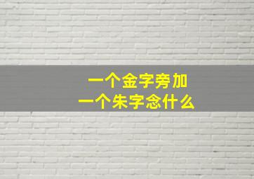 一个金字旁加一个朱字念什么