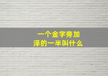 一个金字旁加泽的一半叫什么