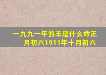 一九九一年的羊是什么命正月初六1911年十月初六