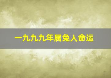 一九九九年属兔人命运