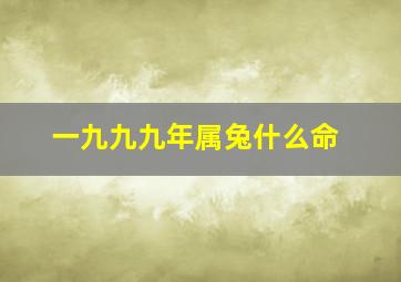 一九九九年属兔什么命