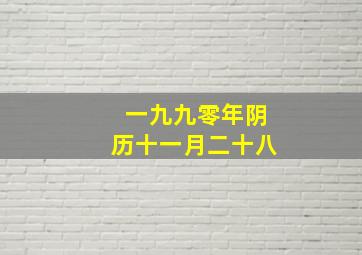 一九九零年阴历十一月二十八