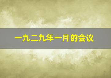 一九二九年一月的会议