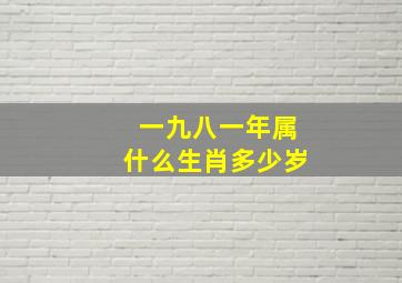 一九八一年属什么生肖多少岁