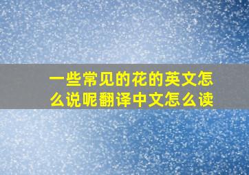 一些常见的花的英文怎么说呢翻译中文怎么读