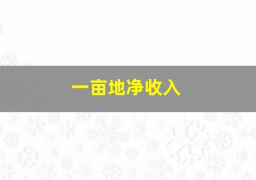 一亩地净收入