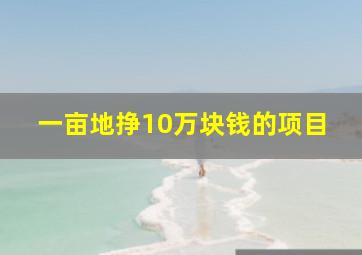 一亩地挣10万块钱的项目