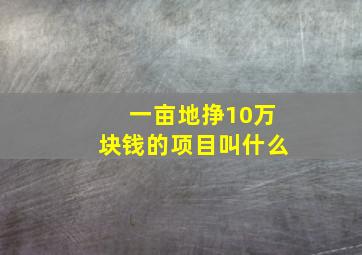 一亩地挣10万块钱的项目叫什么